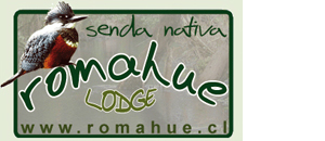 Senda Nativa Romahue