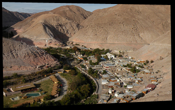 Codpa Arica