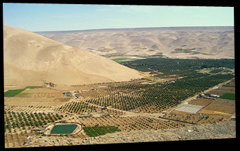 Valle de Azapa