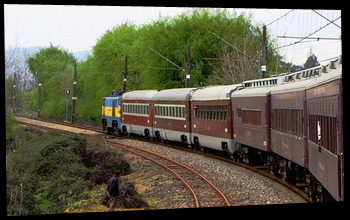 Ramal Talca - Constitucion