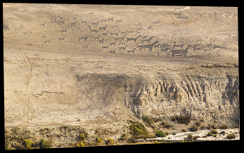 geoglifos de Tiliviche