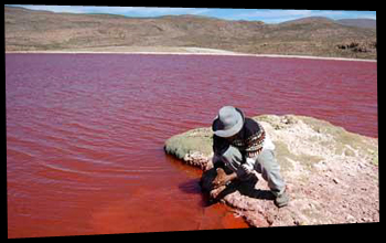 Laguna Roja
