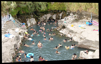 Oasis de Pica
